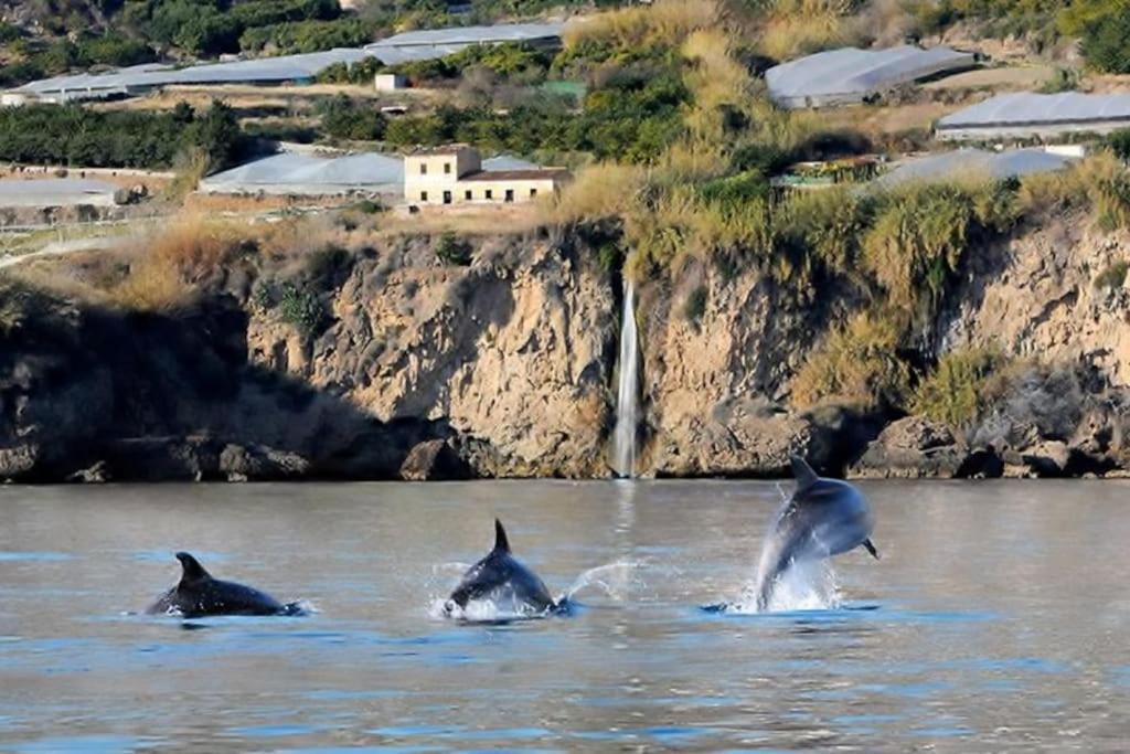 Casa Delfin * Maro